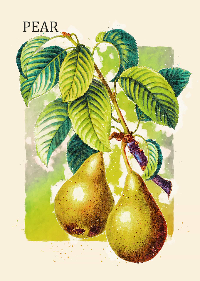 Pear