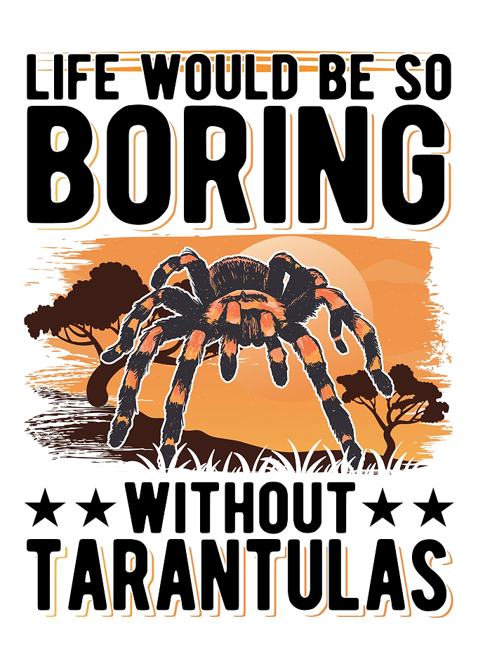 Tarantula Gift