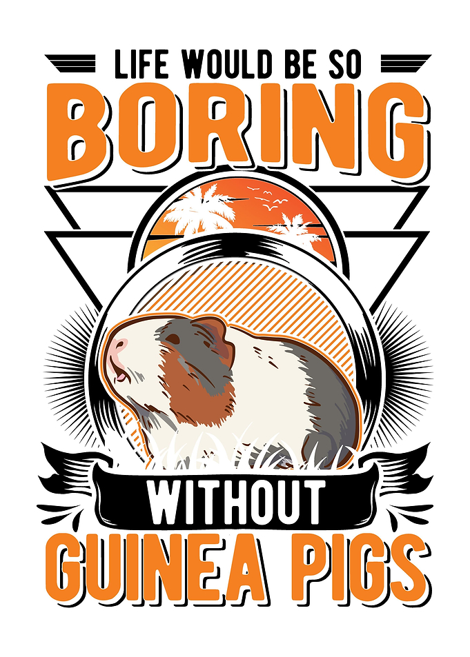 Guinea Pig Gift