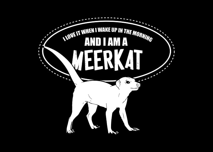 Meerkat