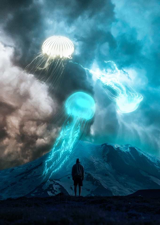 Jellyfish Space World