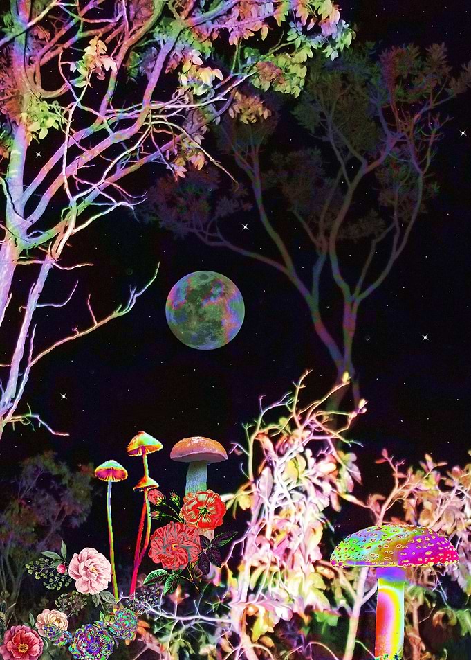 Colorful Night