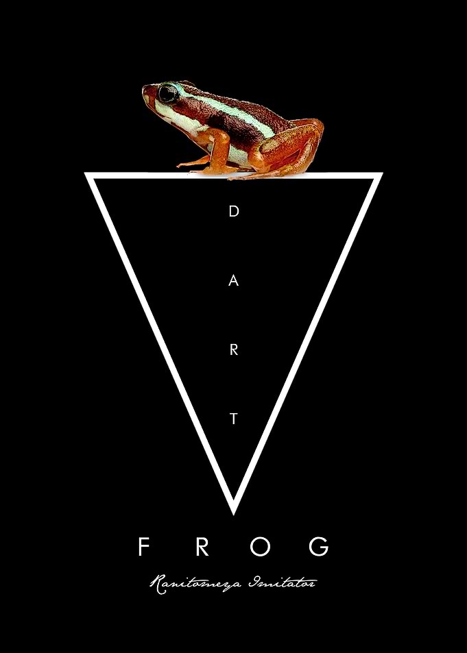 Phantasmal Dart Frog