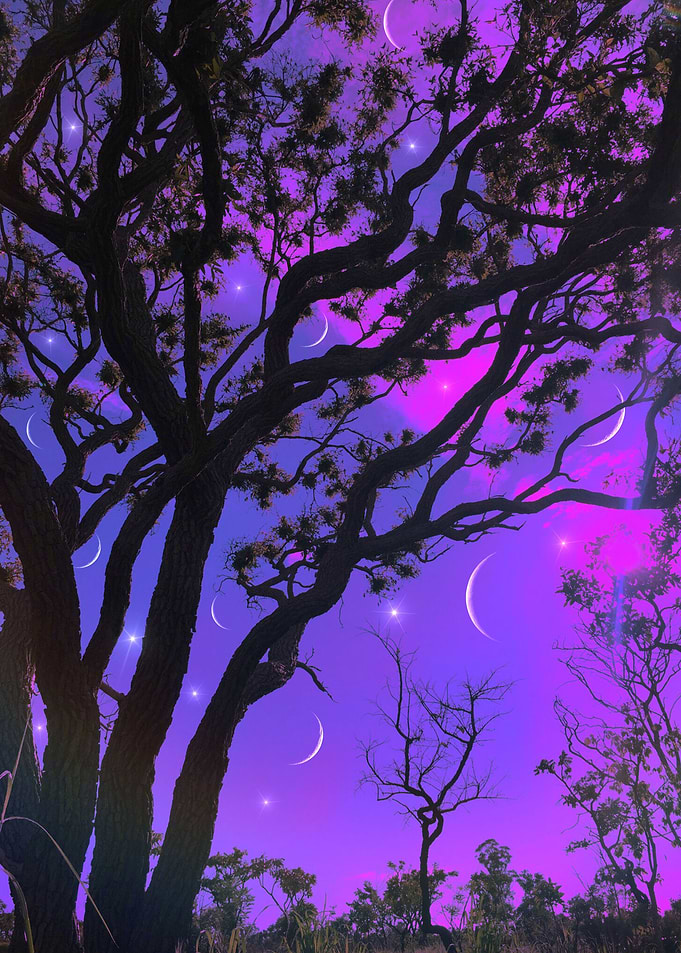 Purple Dream