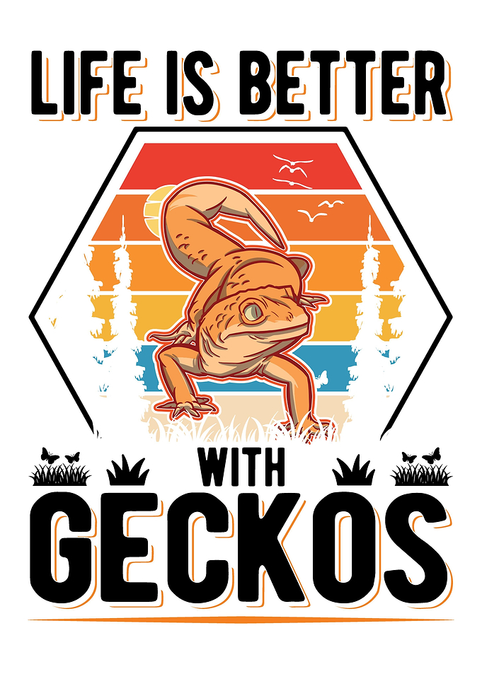 Leopard Gecko Gift