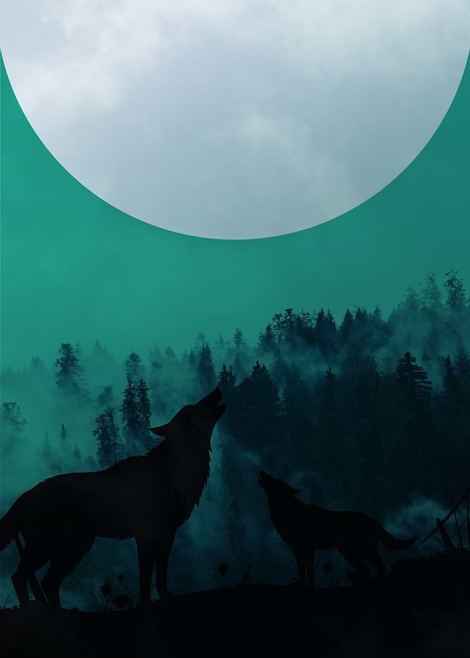 Wolf Poster