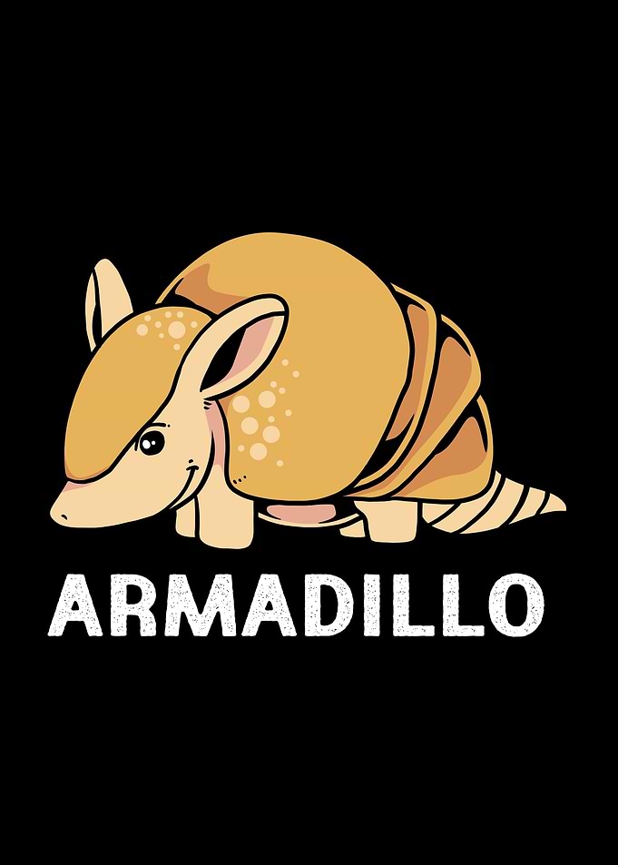 Cute Armadillo