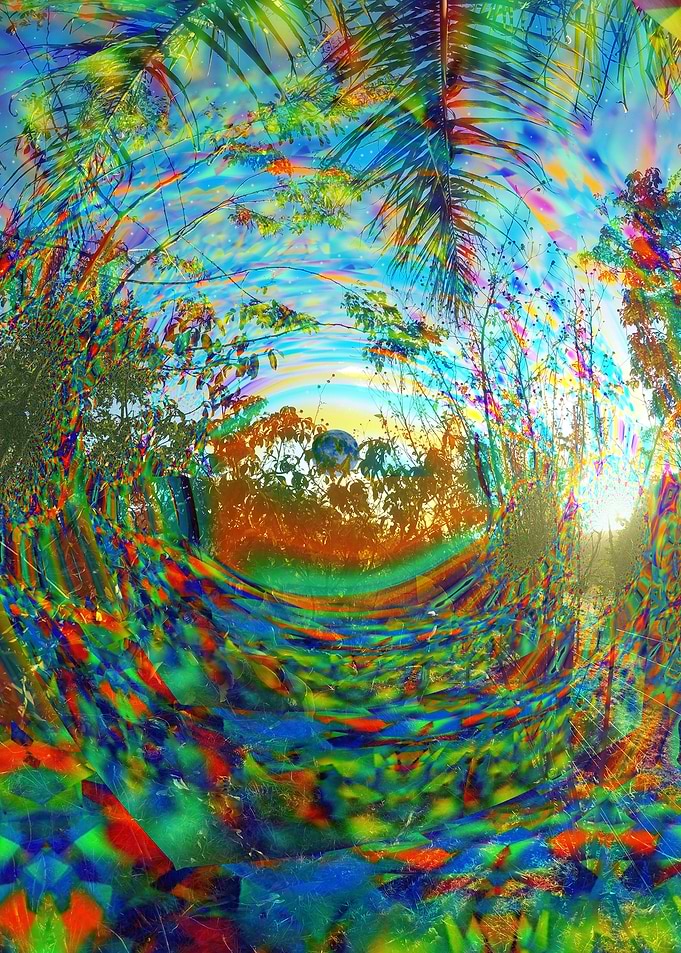 Tropical Winter