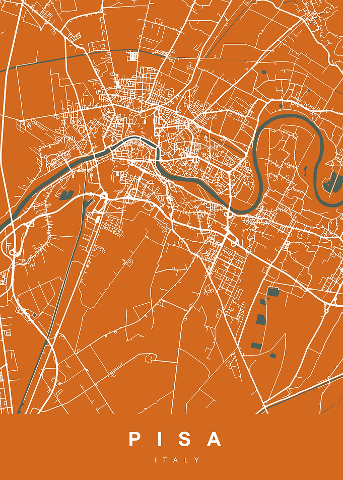 PISA Map ITALY