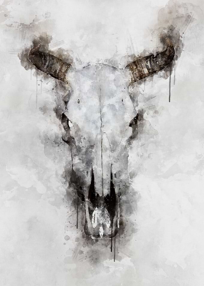 Watercolor animal skull