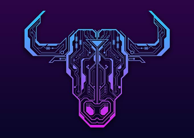 Bulls