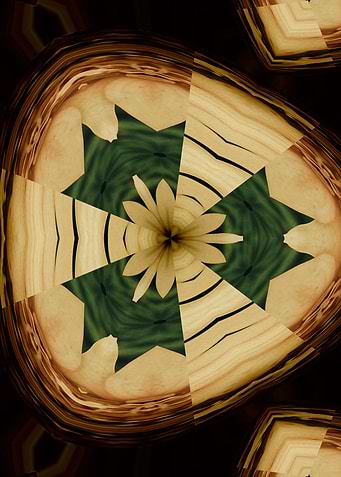 Woody Flower