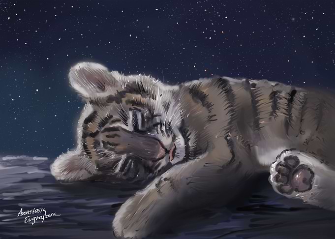 Tiger Baby