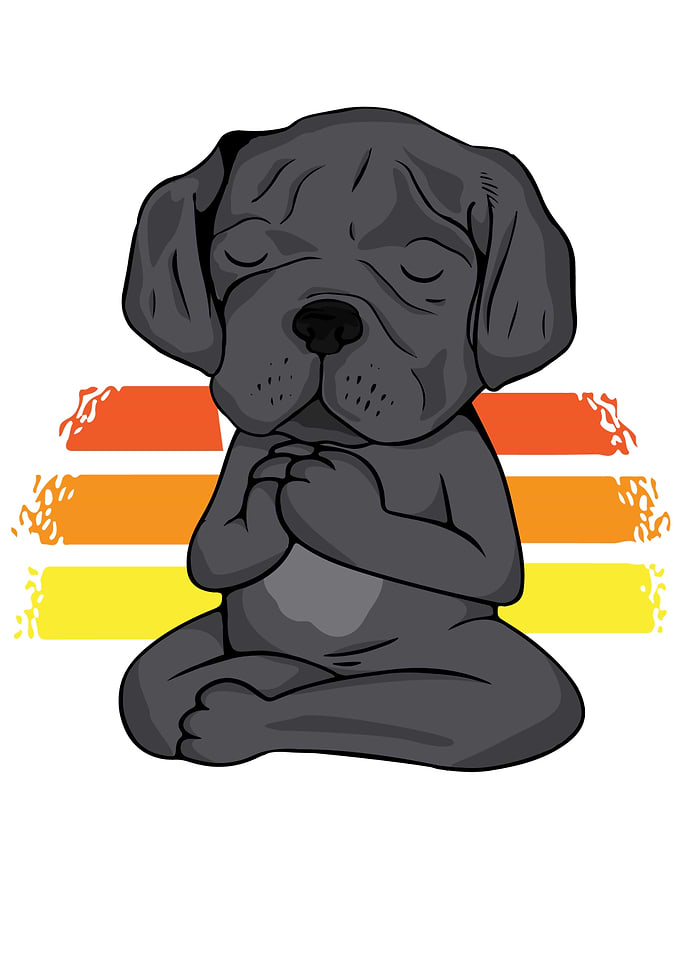 Dog Meditation Cane Corsi