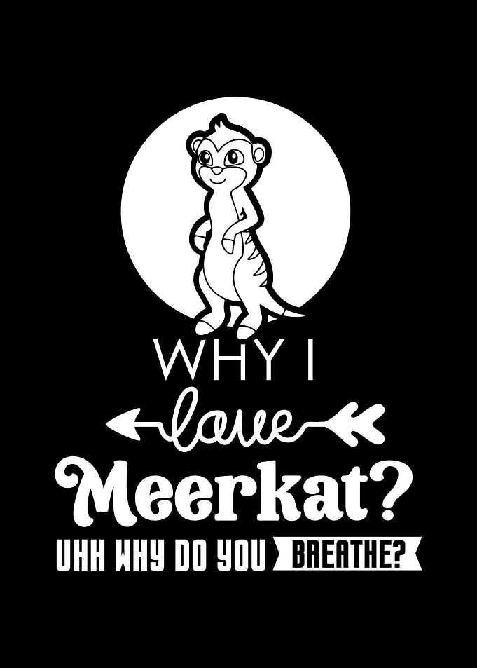 Meerkat