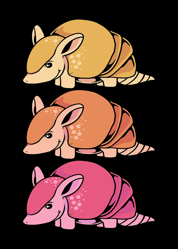 Armadillo Squad