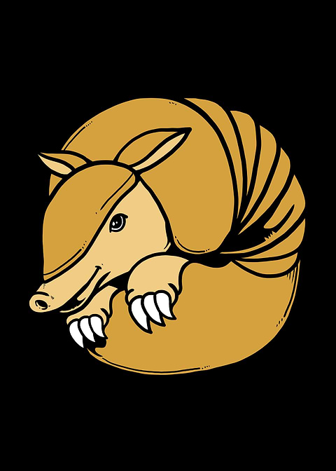 Armadillo Rollin