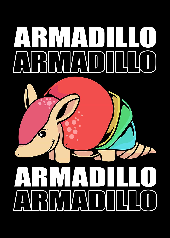 Armadillo Colorful