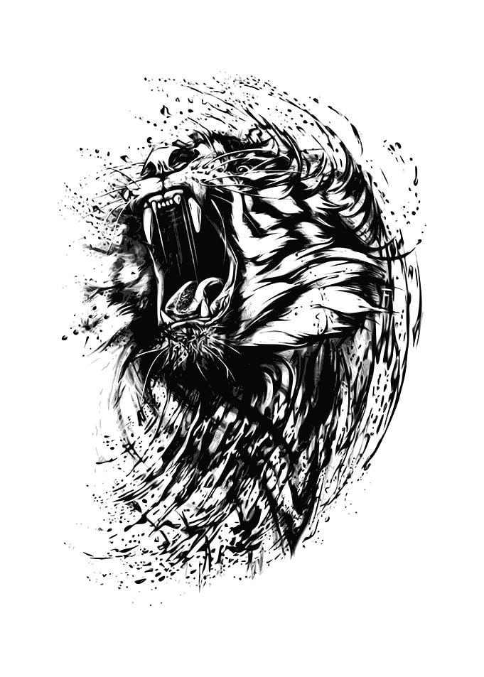 Lion art