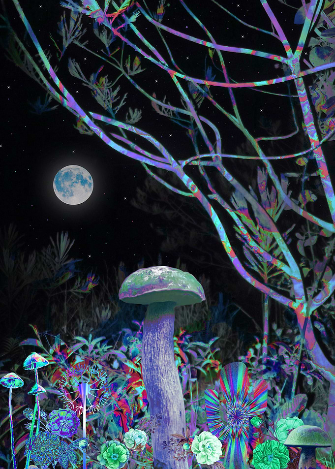 Within The Night