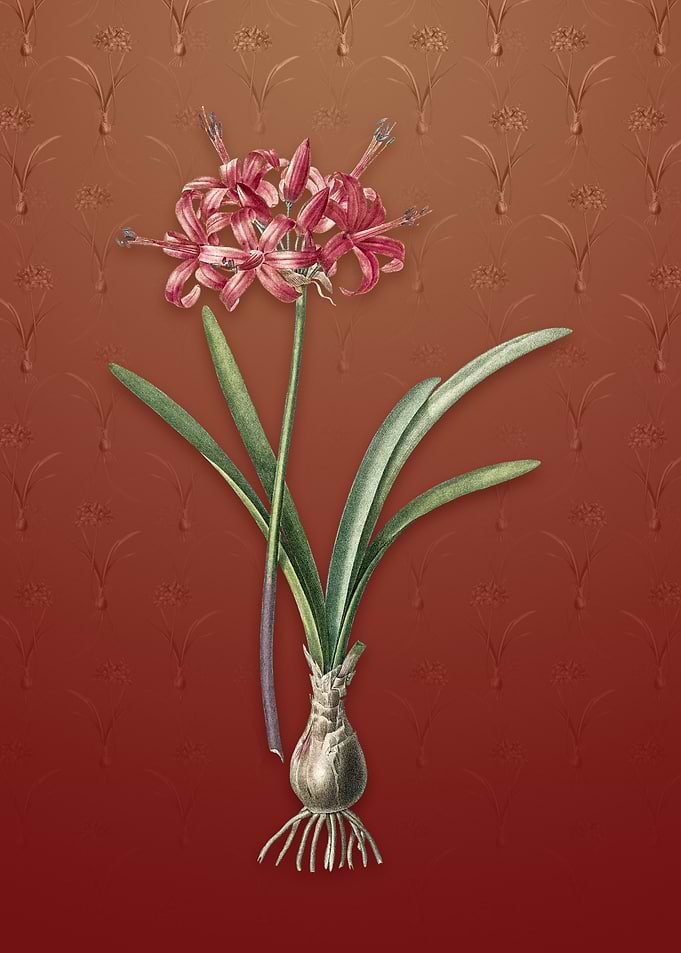 Vintage Guernsey Lily