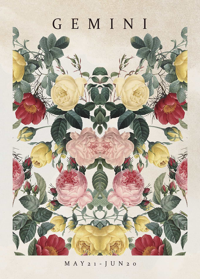 GEMINI