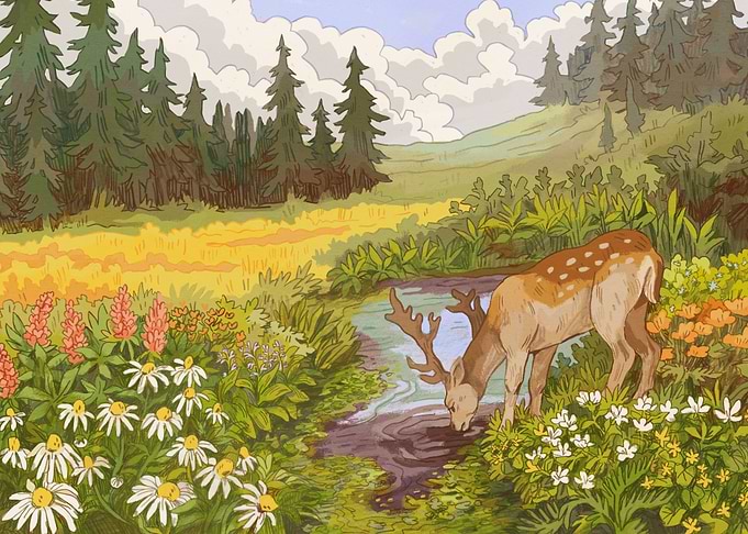 Deer by the water