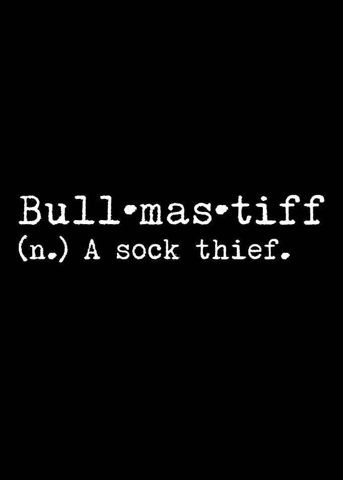 Bullmastiff A Sock Thief