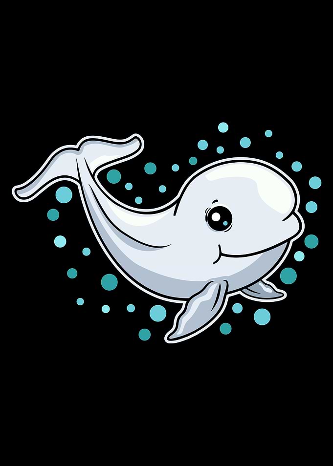 Baby Beluga Whale Gift