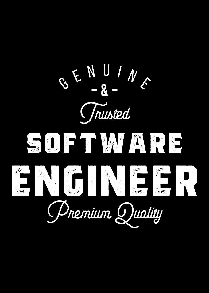 Gift for Software Engineer