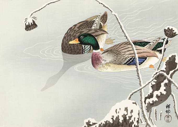 Two Mallards Ohara Koson