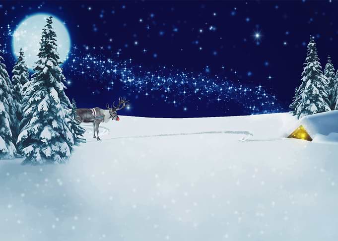 Christmas spirit