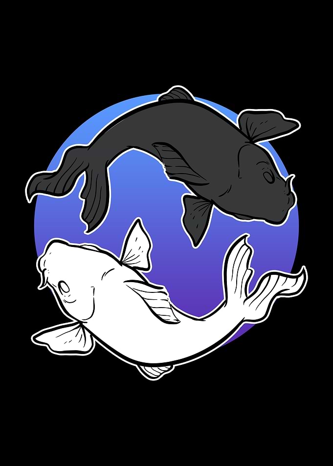 Yin Yang Koi Fish