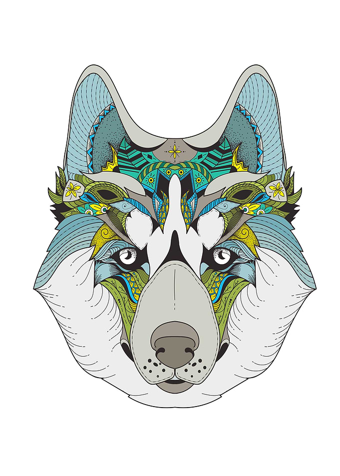 husky