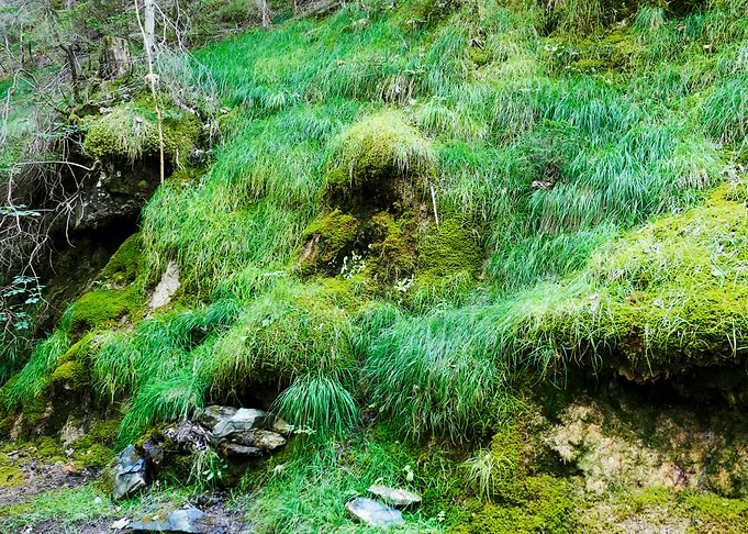 Chemin de Bon Mollard 1