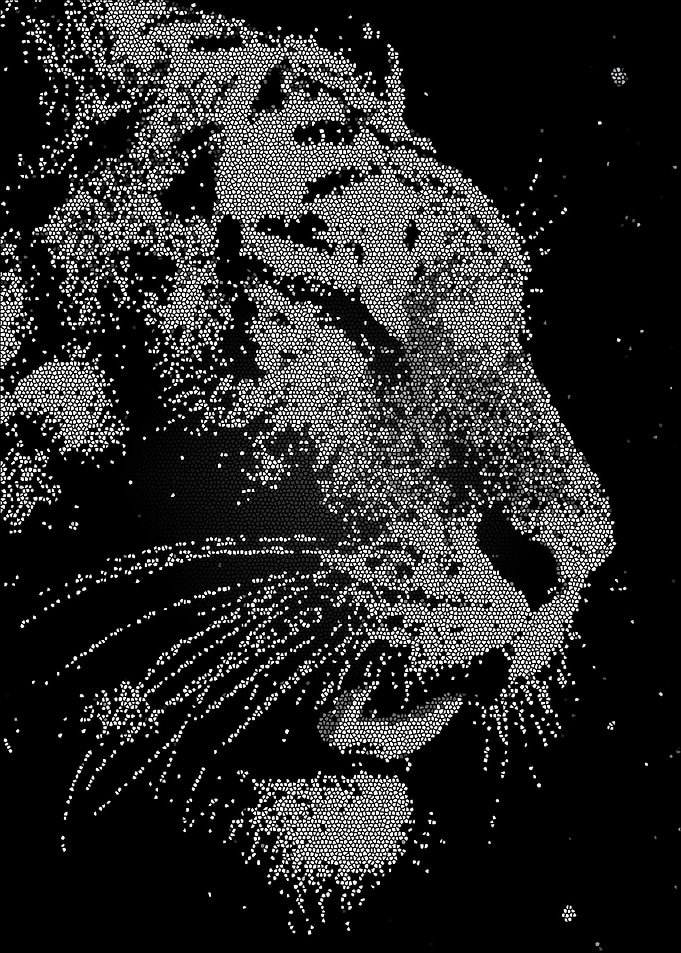 TIGER VORONOI ART