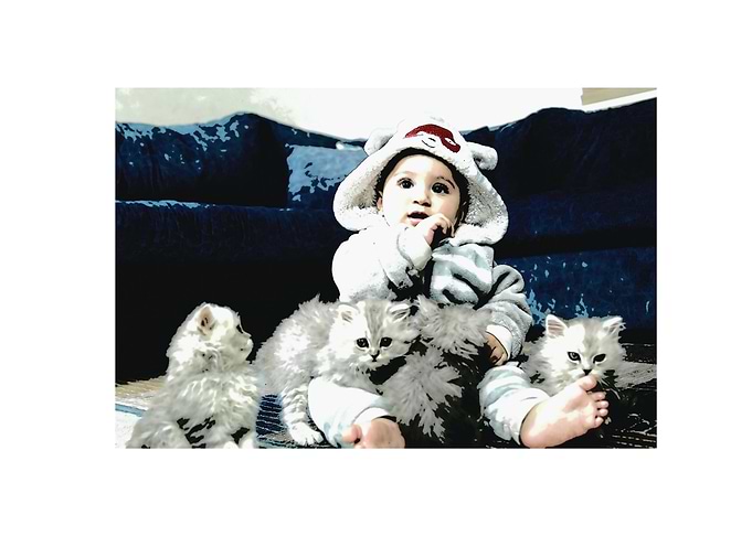 the babys with sweets cats