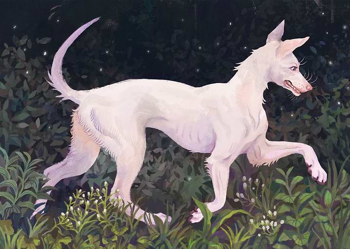 White dog