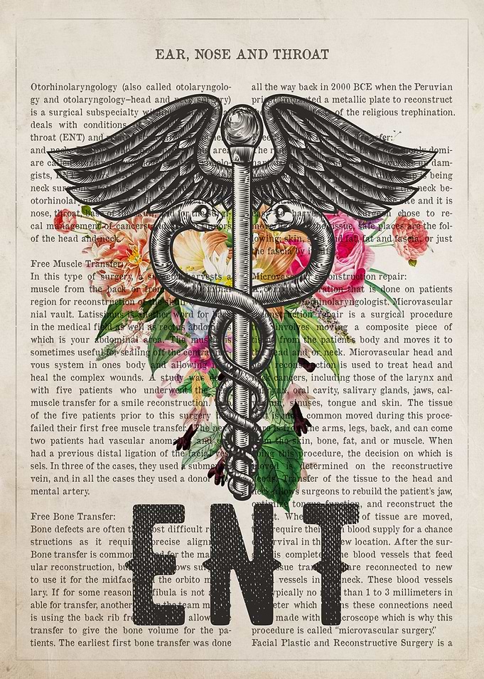 Ear Nose and Throat Doctor