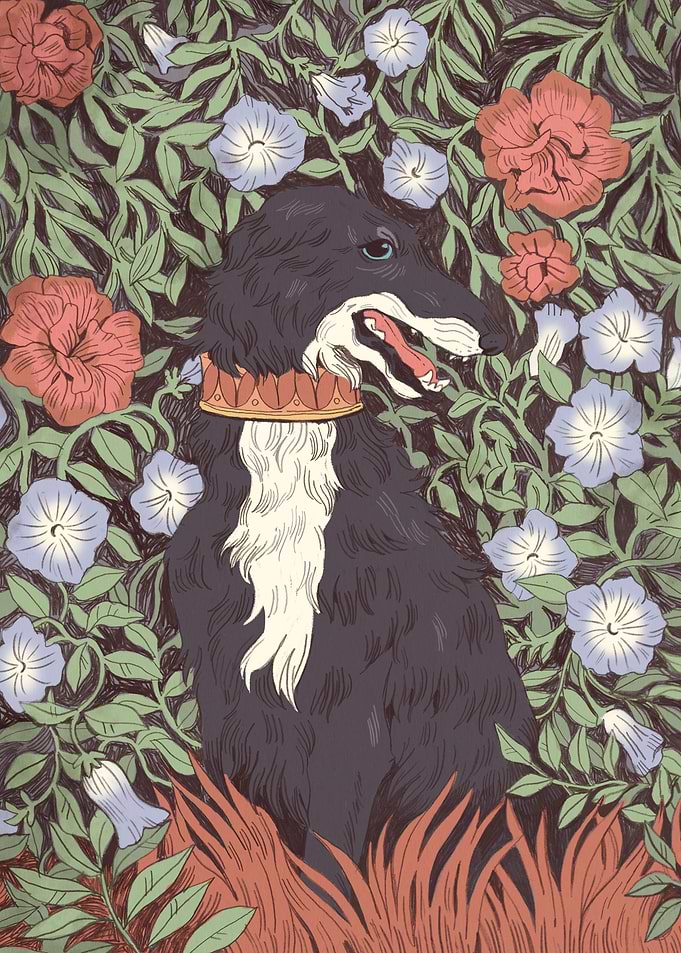 Borzoi