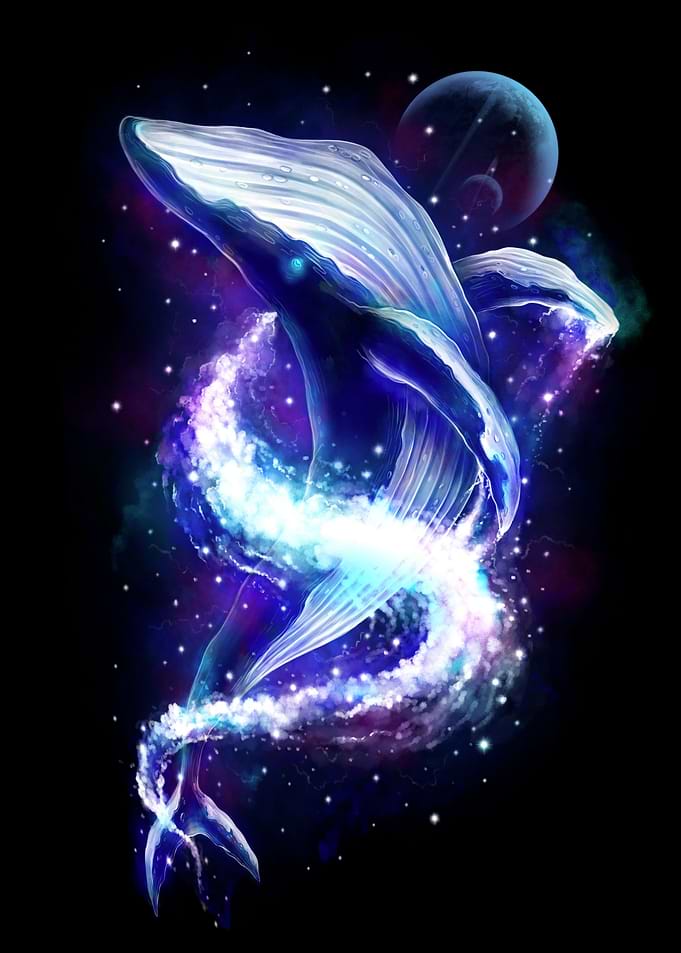 Whale in Space