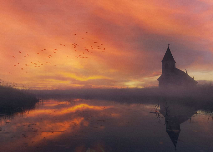 Wetlands Digital Painting