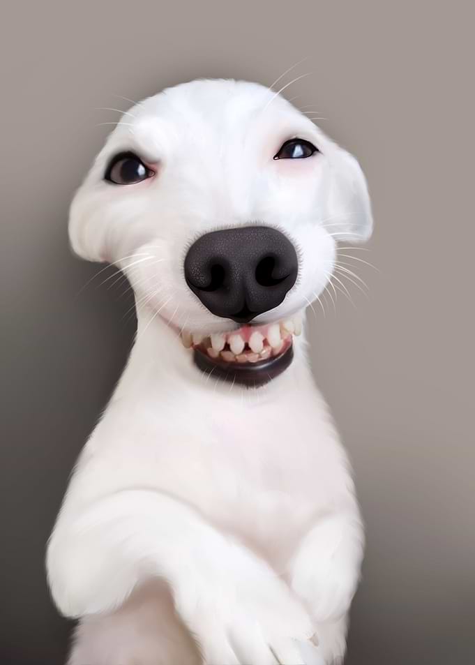 happy dog