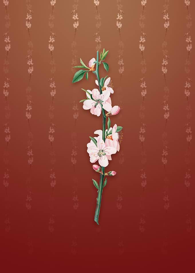 Vintage Peach Flower