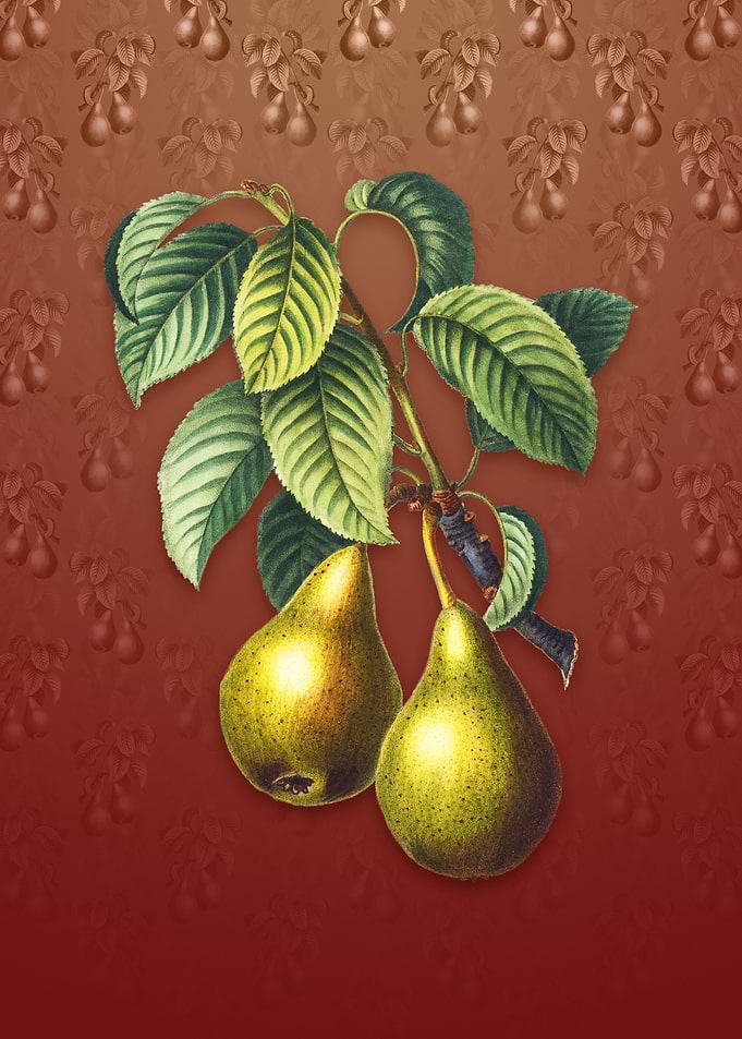 Vintage Pear on Falu Red