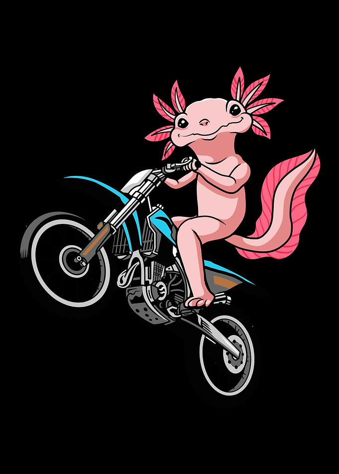Axolotl Salamander