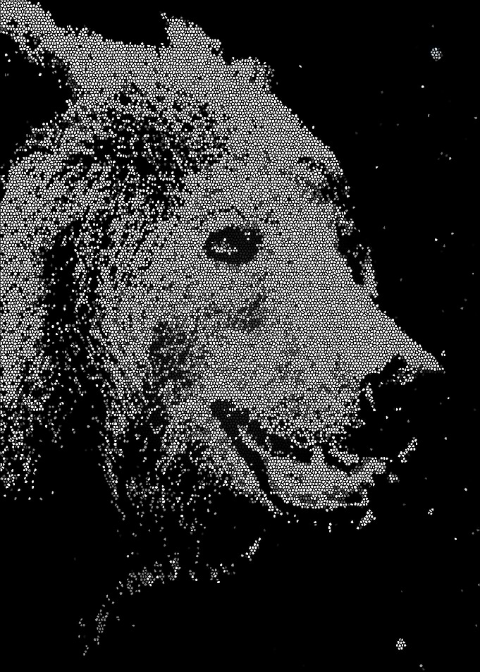 BEAR VORONOI ART