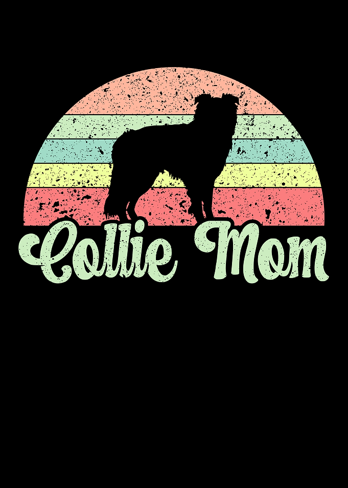 Collie Mom Border Collie