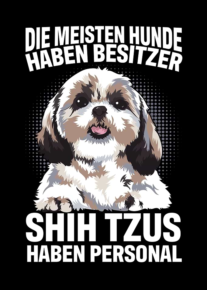 Shih Tzu