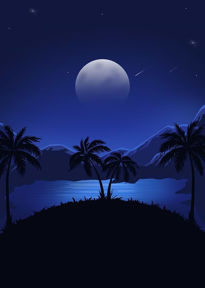 Island Vibes At Night